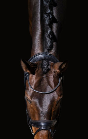 Bridle Wear - Finesse Bridles - Horse Bit Emporium