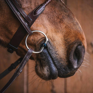 Fager Fixed Cheek Bits - Horse Bit Emporium