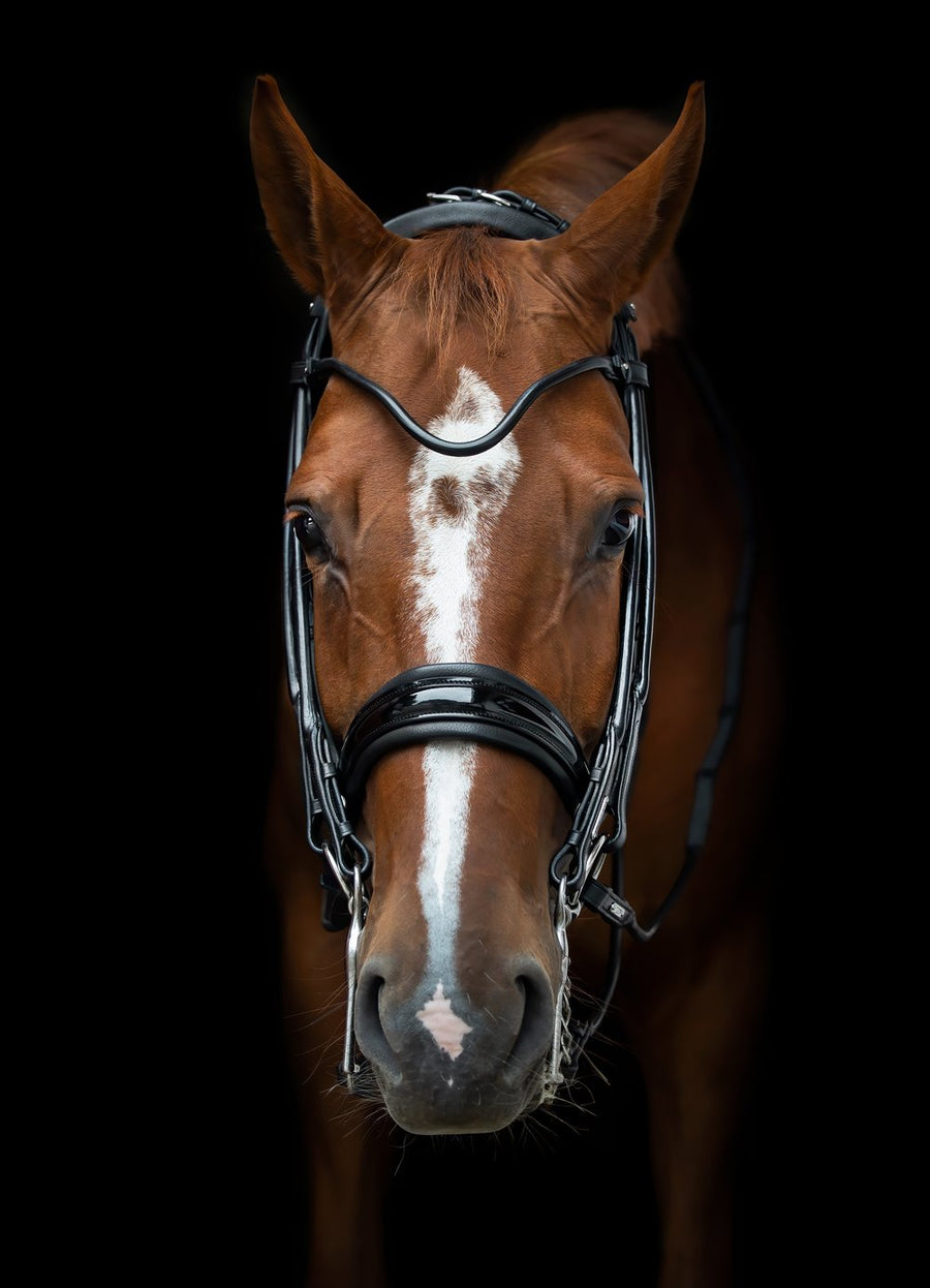 Utzon Edinburgh Dressage Double Bridle