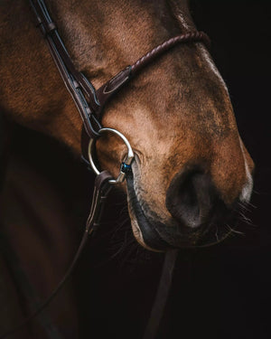 Fager Bianca Titanium Fixed Cheek - Horse Bit Emporium