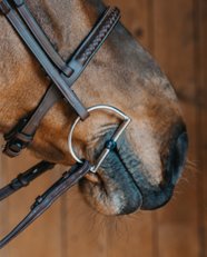 Fager Sally Titanium D - Ring Bit - Horse Bit Emporium