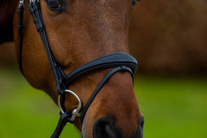 Trust Amsterdam Anatomic Bridle with Flash - Horse Bit Emporium