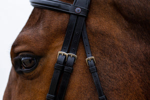 Trust Amsterdam Anatomic Bridle with Flash - Horse Bit Emporium