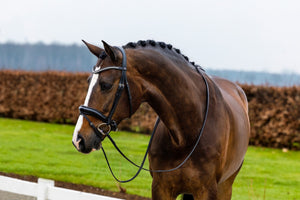 Trust Rotterdam Crank Snaffle Bridle - Black Patent on Black - Horse Bit Emporium