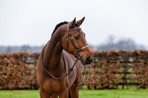 Trust St.Gallen Rope Noseband Bridle - Horse Bit Emporium