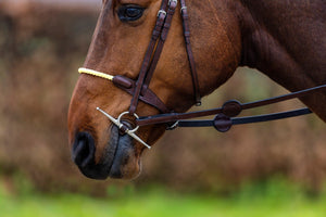 Trust St.Gallen Rope Noseband Bridle - Horse Bit Emporium