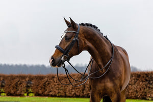 Trust Wellington Double Bridle - Horse Bit Emporium