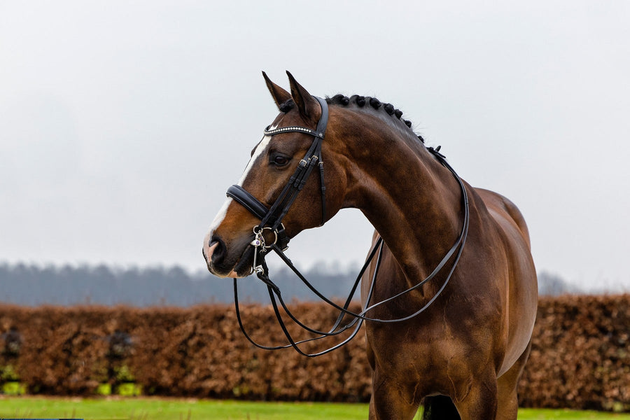 Trust Wellington Double Bridle - Horse Bit Emporium