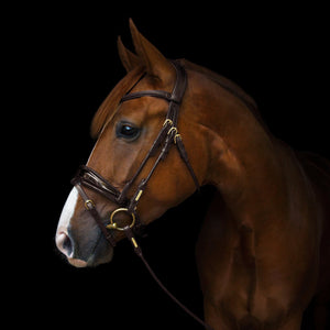 Utzon Copenhagen Dressage Bridle - Horse Bit Emporium