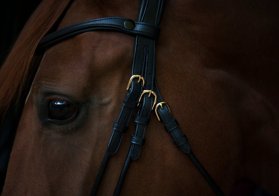 Utzon Copenhagen Dressage Bridle - Horse Bit Emporium