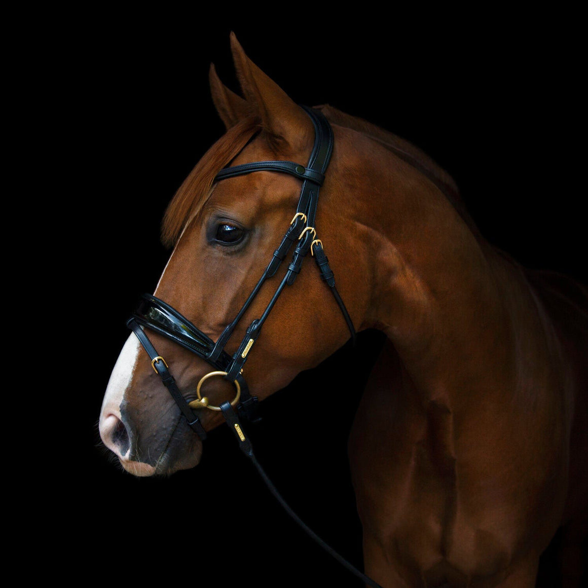 Utzon Copenhagen Dressage Bridle - Horse Bit Emporium