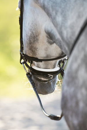 Utzon Edinburgh Dressage Bridle - Horse Bit Emporium