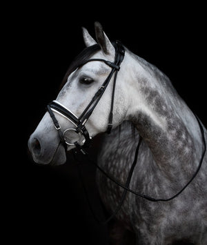 Utzon Edinburgh Dressage Bridle - Horse Bit Emporium