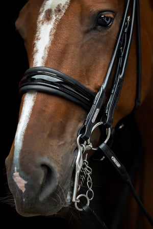 Utzon Edinburgh Dressage Double Bridle - Horse Bit Emporium