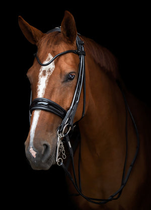 Utzon Edinburgh Dressage Double Bridle - Horse Bit Emporium