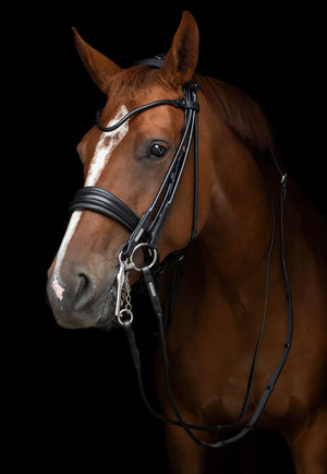 Utzon Edinburgh Dressage Double Bridle - Horse Bit Emporium