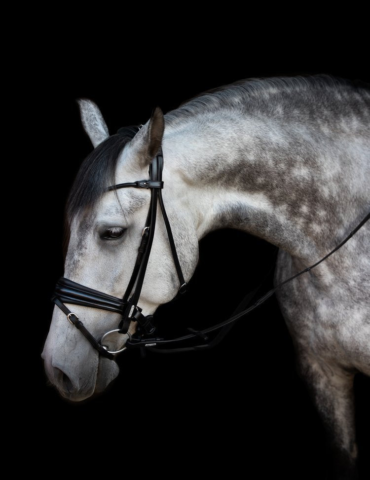 Utzon London Snaffle Bridle Black on Black Matte - Horse Bit Emporium