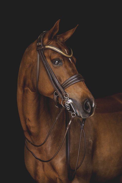 Utzon London Weymouth Double Bridle - Horse Bit Emporium