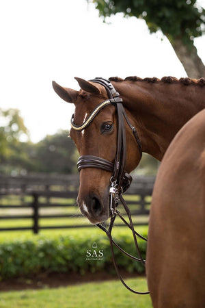 Utzon London Weymouth Double Bridle - Horse Bit Emporium