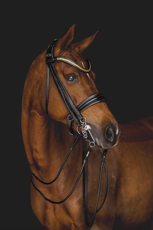 Utzon London Weymouth Double Bridle - Horse Bit Emporium