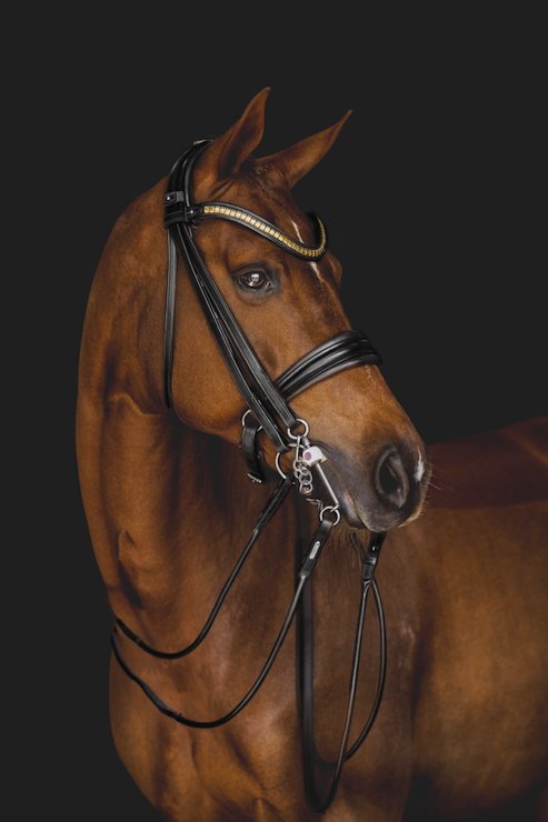 Utzon London Weymouth Double Bridle - Horse Bit Emporium