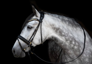 Utzon Olympic Dressage Bridle - Horse Bit Emporium