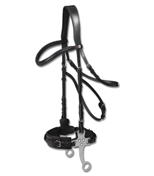 Waldhausen X - Line Hackamore Bridle - Horse Bit Emporium