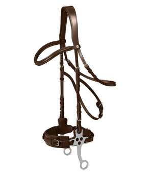 Waldhausen X - Line Hackamore Bridle - Horse Bit Emporium